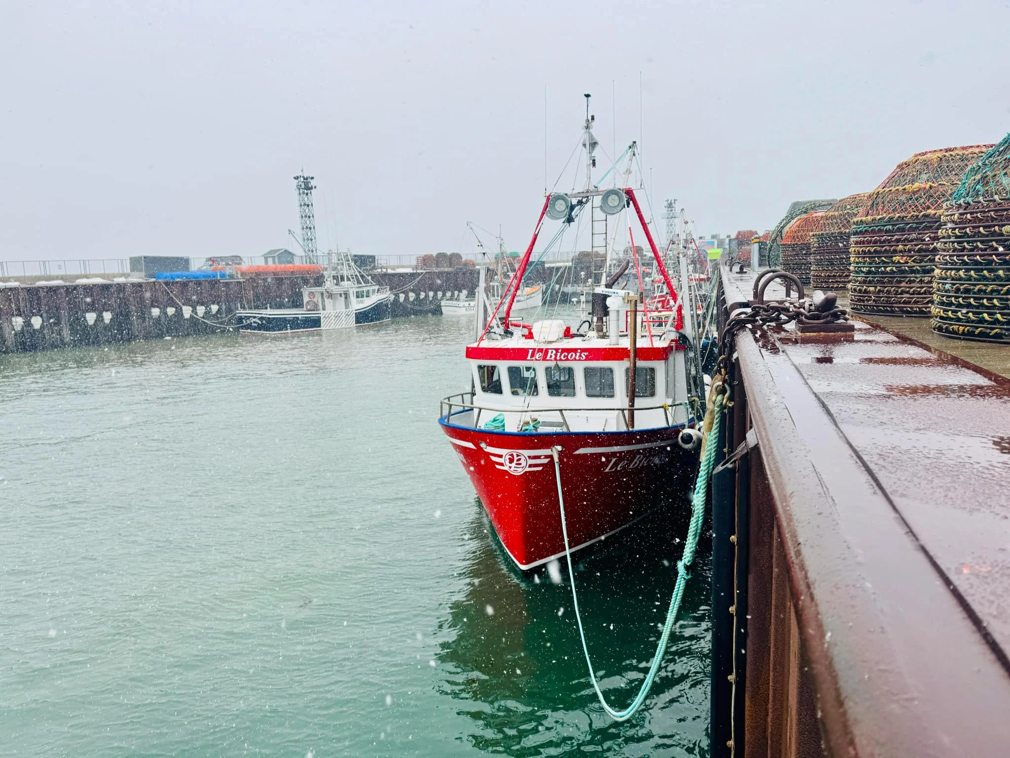 Peche_Crabe_Rimouski